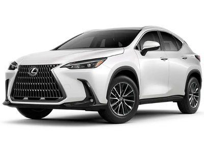 Skid plate on Lexus NX 250 (2021-) II generation (AZ20)